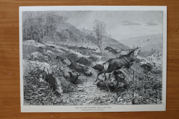 Holzstich Szene bei einem eingestellten Jagen auf Sauen 1887 nach Originalzeichnung von Chr Kröner Kunst Künstler